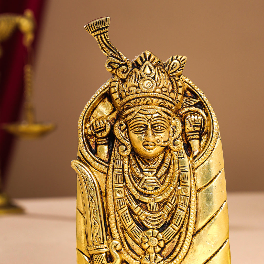 Brass Aashapura Maa Idol (7 Inch)