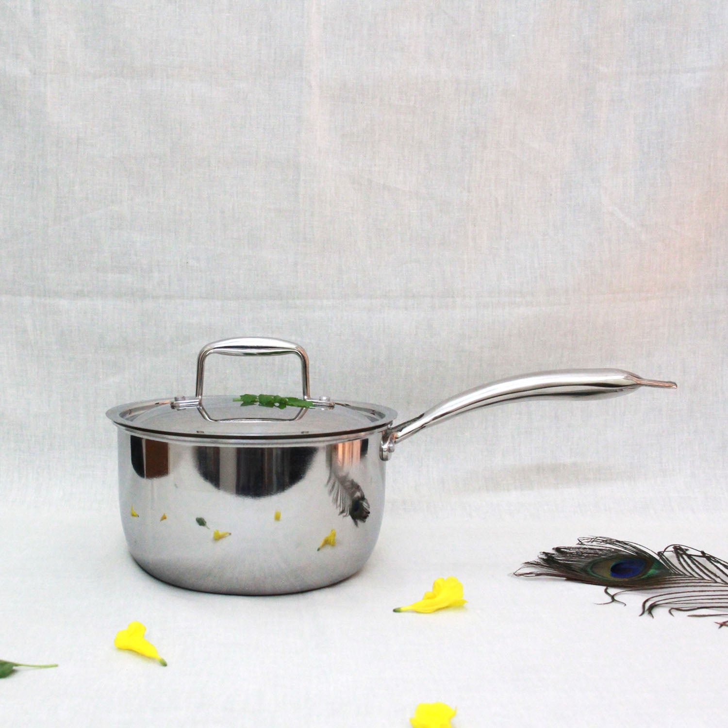 Stainless Steel Sausepan