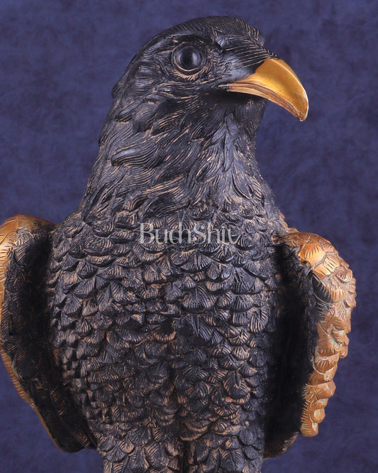 Pure Brass Large Eagle Statue in Antique Tone | Vastu & Feng Shui 15"