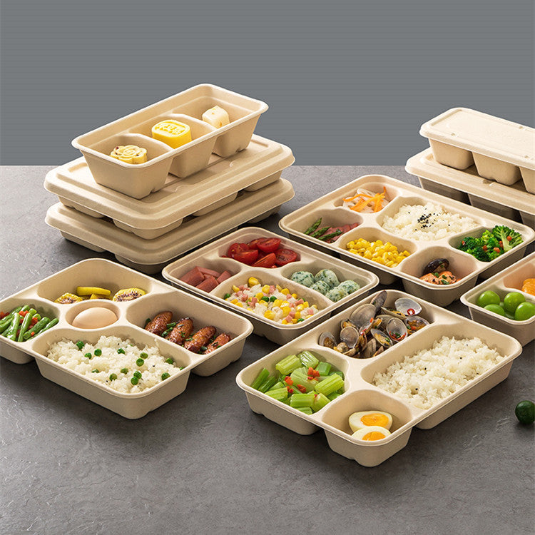 Disposable Four-compartment Lunch Box Lunch Box Environmentally Friendly Biodegradable Paper Pulp