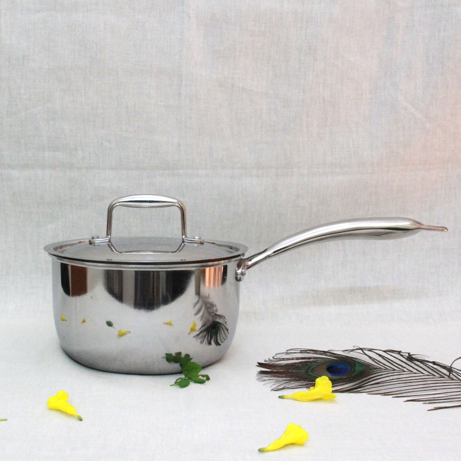 Stainless Steel Sausepan Milk Pan 